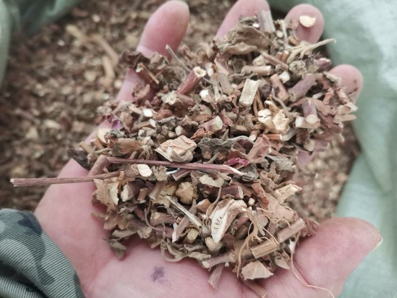 广霍香新货大量供应欢迎各位老板来电咨询下单