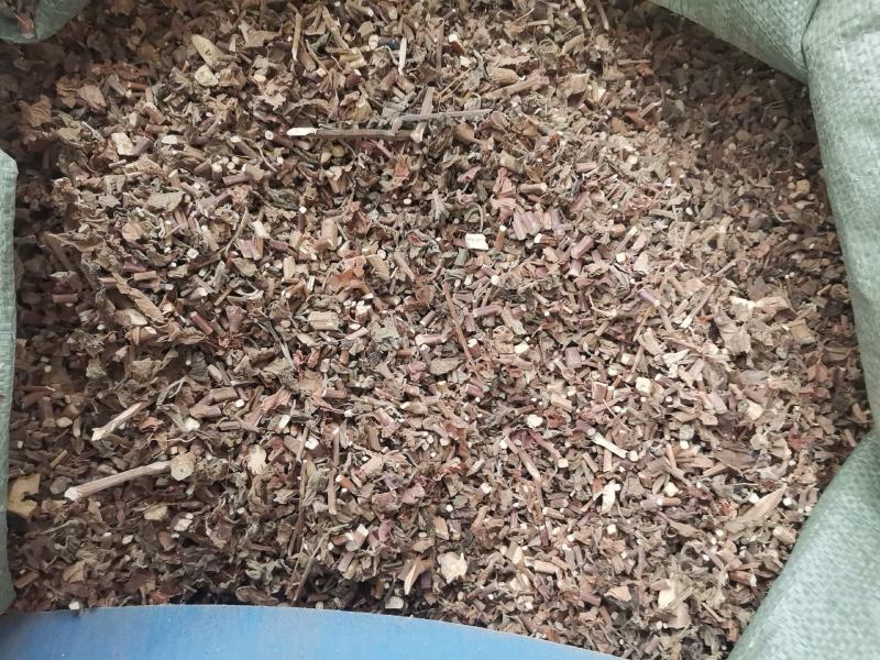 广霍香新货大量供应欢迎各位老板来电咨询下单