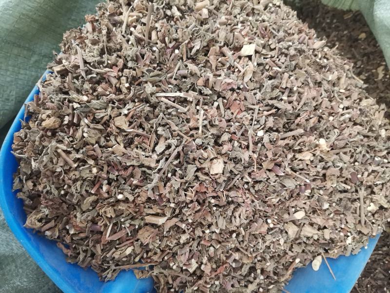 广霍香新货大量供应欢迎各位老板来电咨询下单