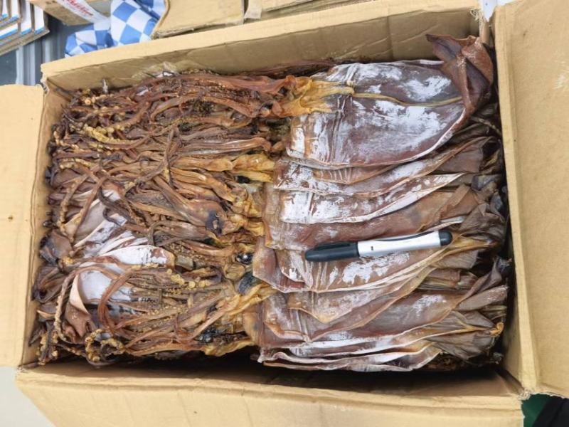 【新货】水发鱿鱼干烧烤鱿鱼黑鱿鱼干海鲜干货工厂直供