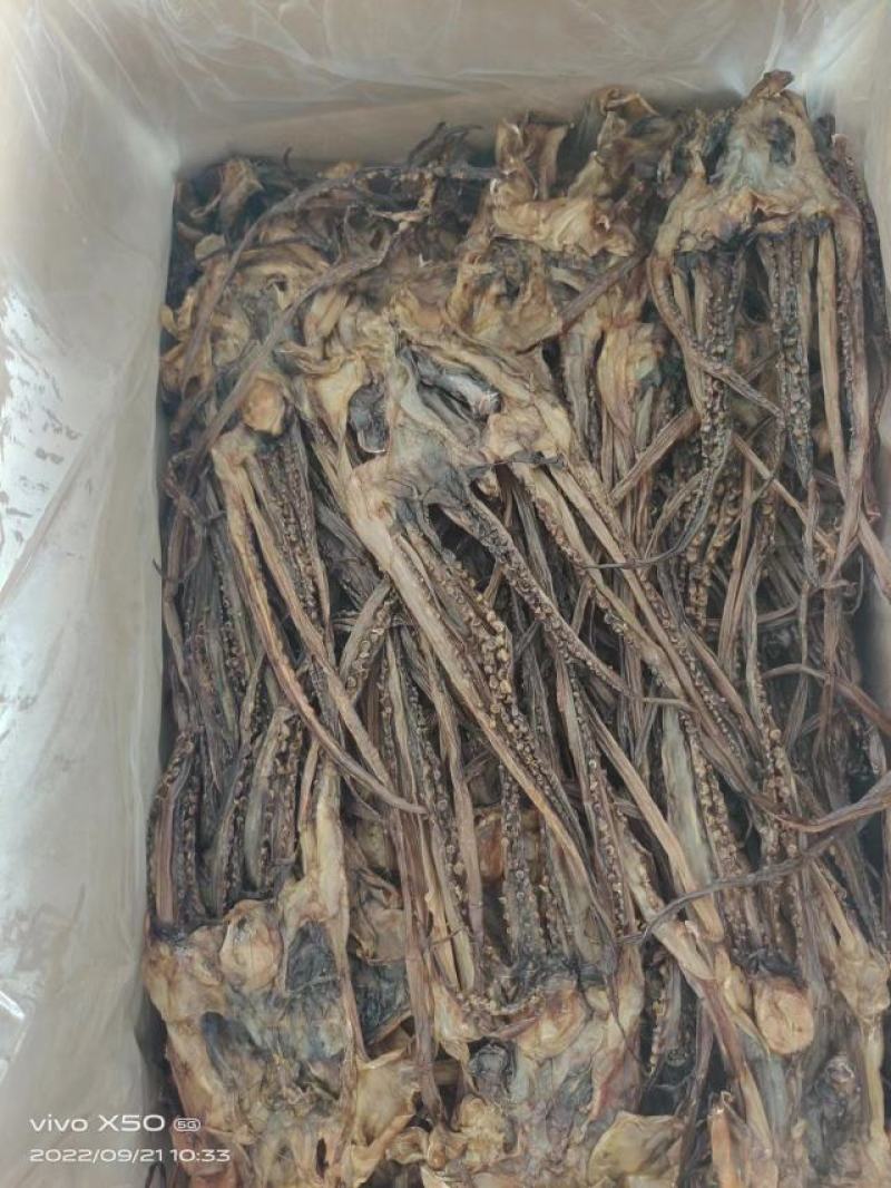 【新货】水发鱿鱼干烧烤鱿鱼黑鱿鱼干海鲜干货工厂直供