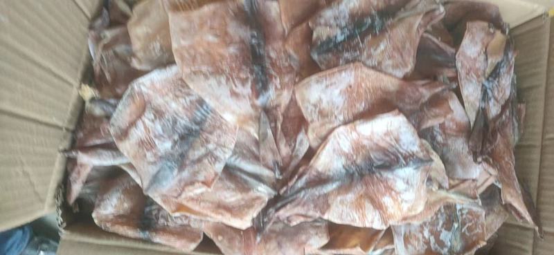 【新货】水发鱿鱼干烧烤鱿鱼黑鱿鱼干海鲜干货工厂直供
