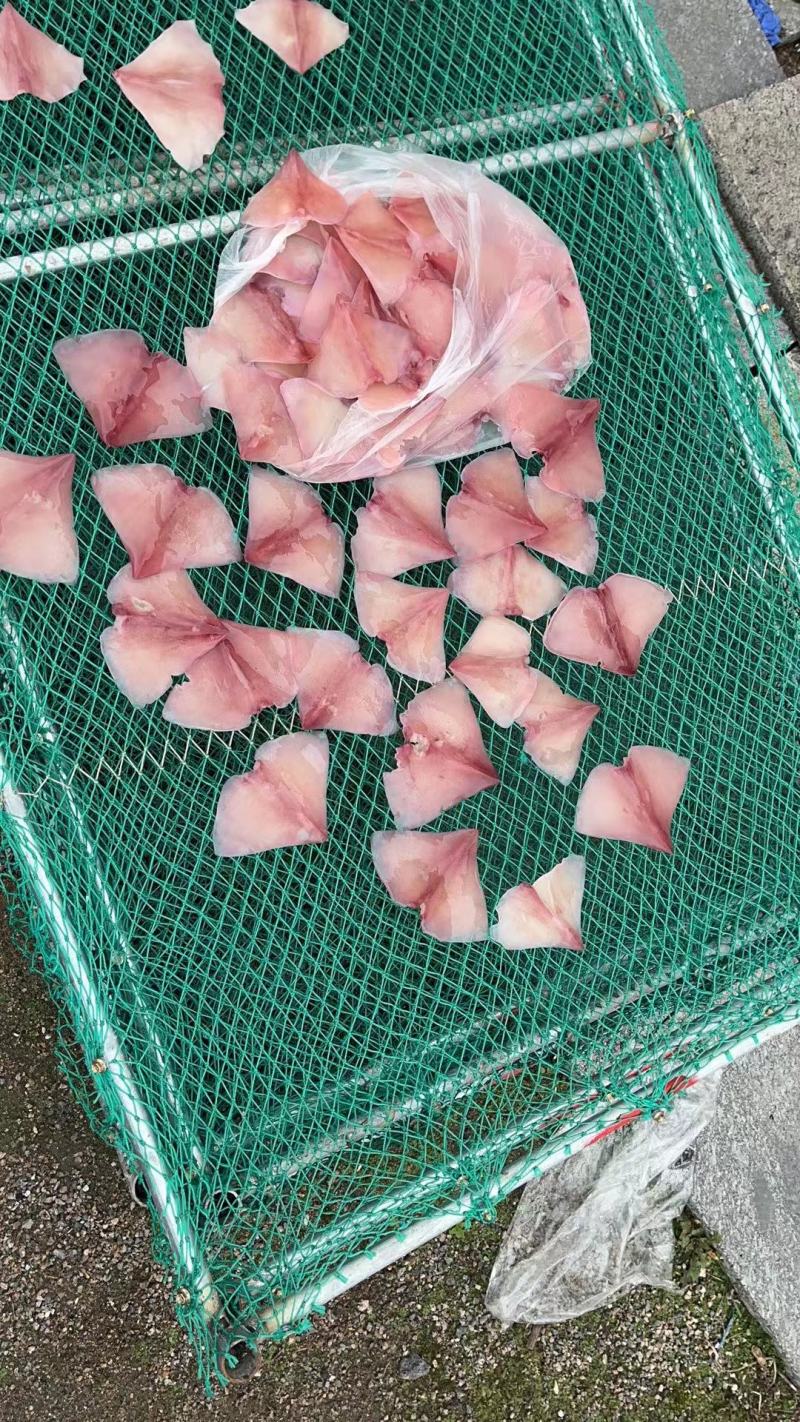 【新货】水发鱿鱼干烧烤鱿鱼黑鱿鱼干海鲜干货工厂直供