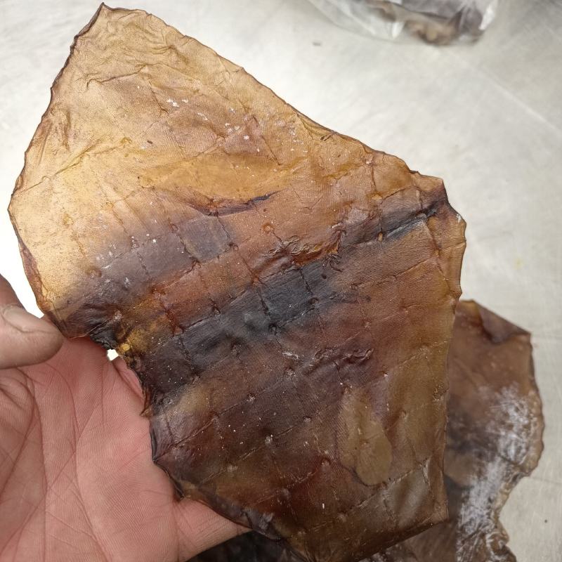 【新货】水发鱿鱼干烧烤鱿鱼黑鱿鱼干海鲜干货工厂直供