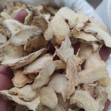 云南小黄姜片，大量供应，欢迎各位老板来电咨询下单。