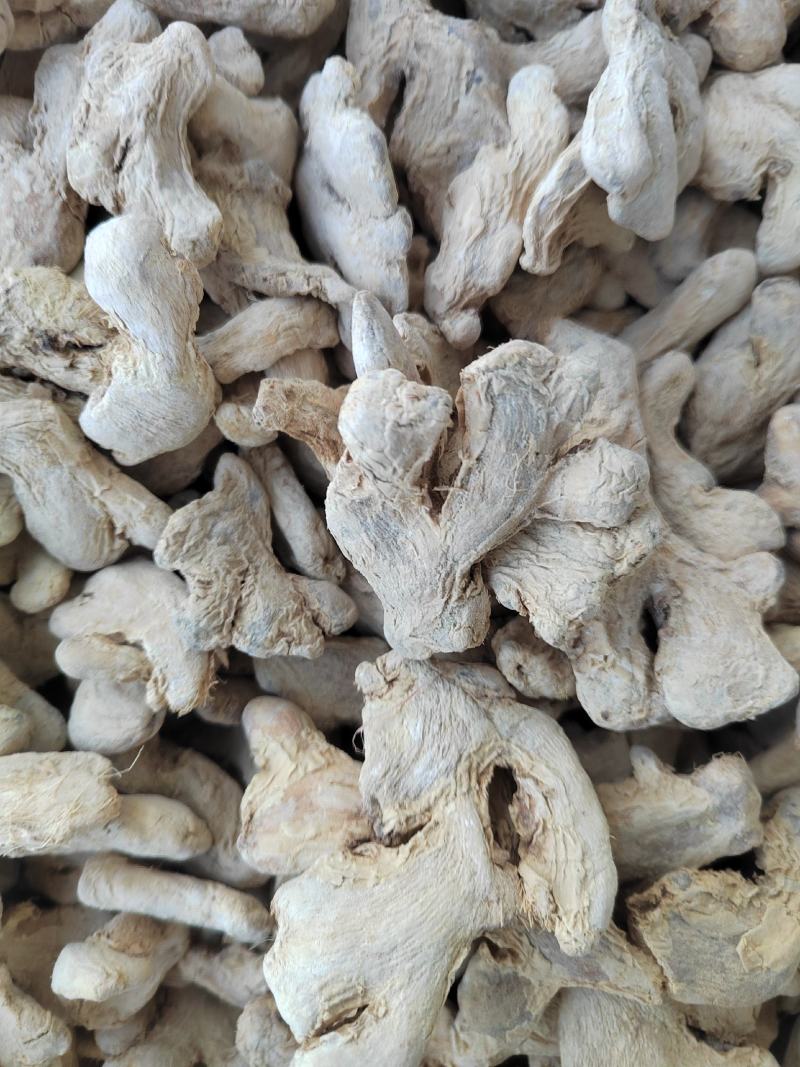 干姜个毛姜统装