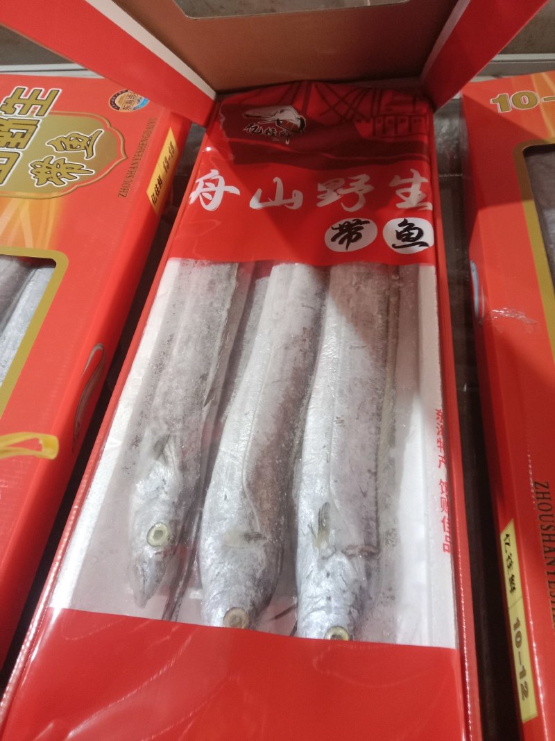 热卖无冰气冻带鱼上下一样大盒装年货团购电商舟山带鱼国产