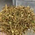 野生金银花