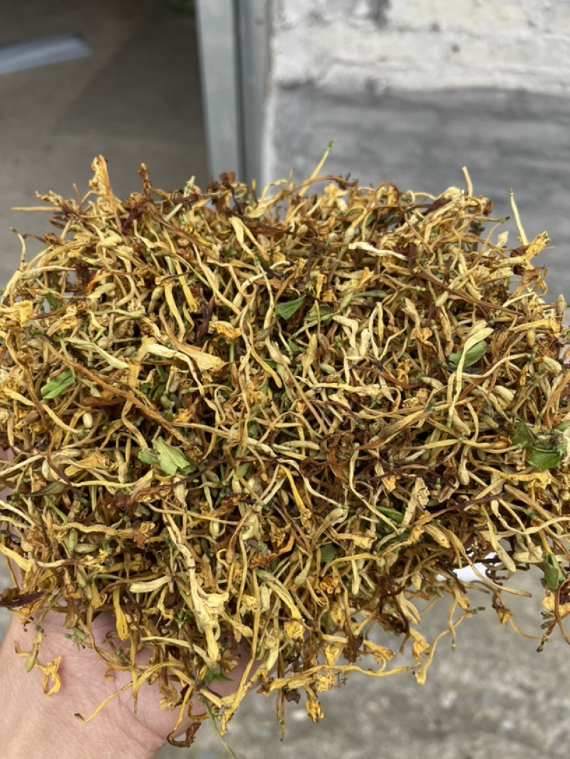 野生金银花