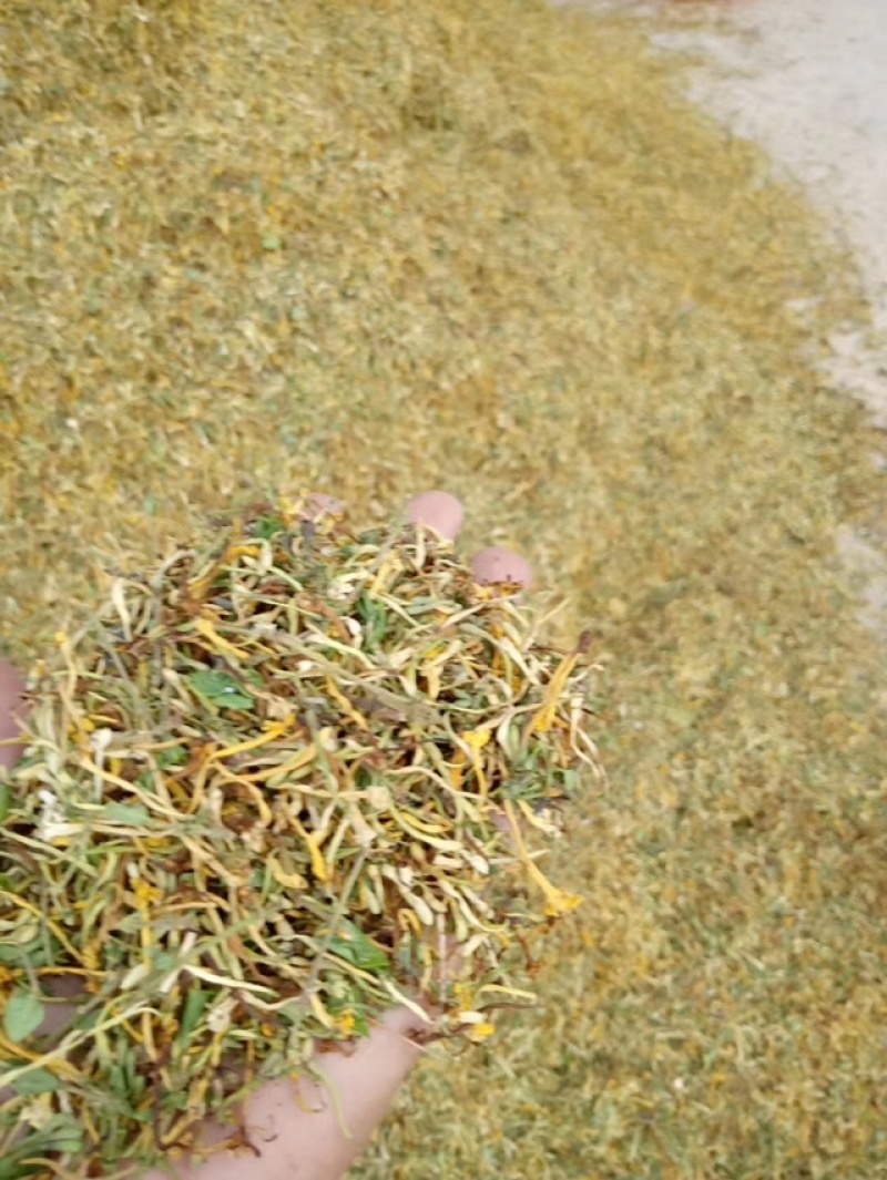 野生金银花