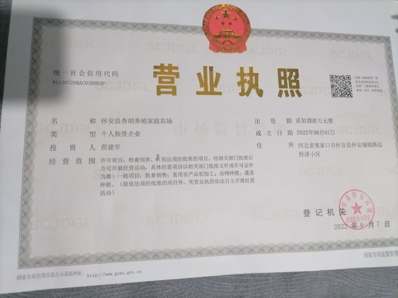 瓜子