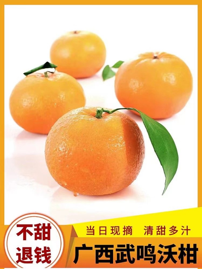 【推荐批发】广西沃柑大量现货对接美团.多多落地配等价格优