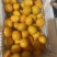 【推荐批发】广西沃柑大量现货对接美团.多多落地配等价格优
