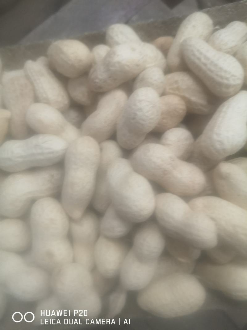 河南许昌炒花生熟花生厂家供应价格亲民欢迎咨询