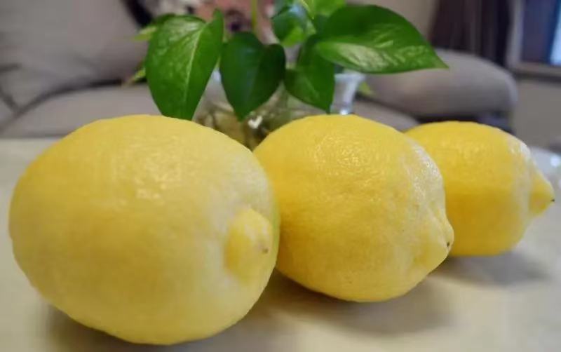 尤力克柠檬原汁瓶装产品展示