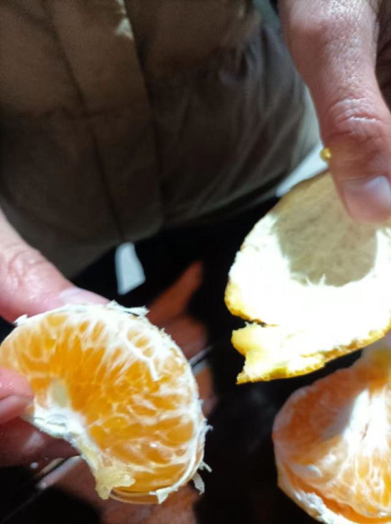 饶平沃柑特靓沃柑接受预订年柑果园现货欢迎订购