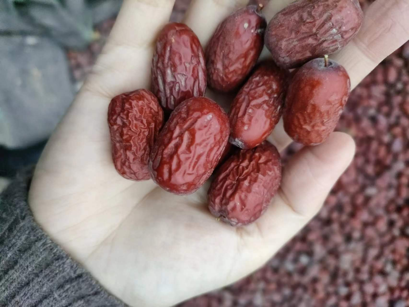 灰枣