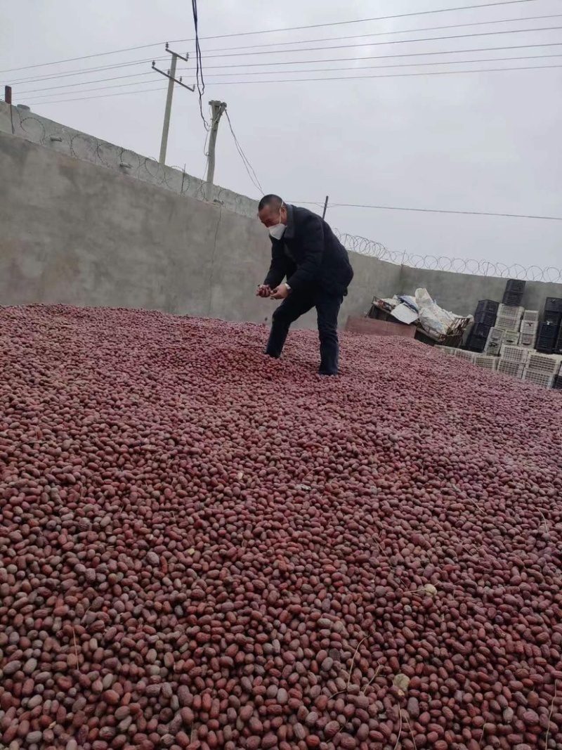 灰枣