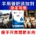 羊饲料添加剂增肥长肉长胖牛羊催肥小料牛羊兽用促生长羊用