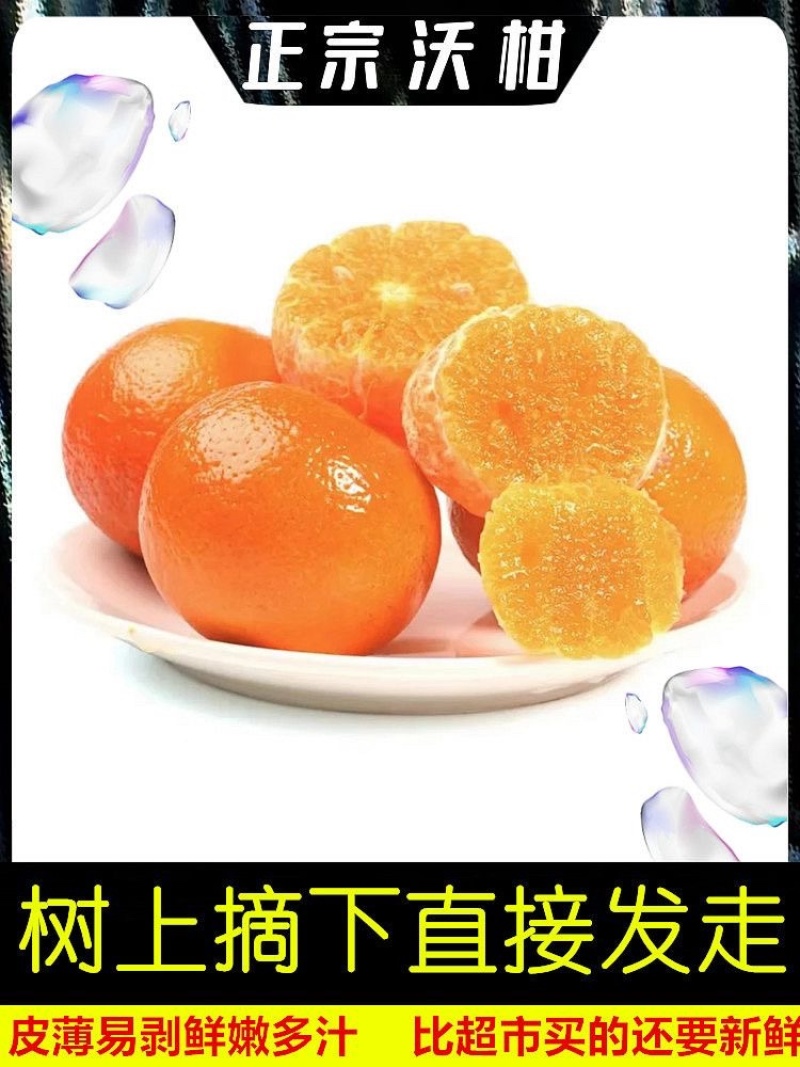精品沃柑3~9斤一件代发对接各大电商平台抖音快手拼多多