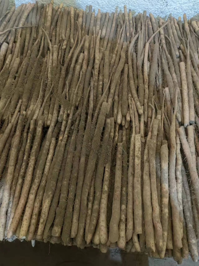 【精品】铁棍山药，品质好，条形好，量大从优！