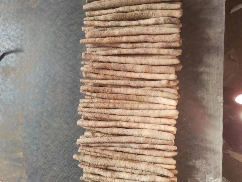 【精品】铁棍山药，品质好，条形好，量大从优！