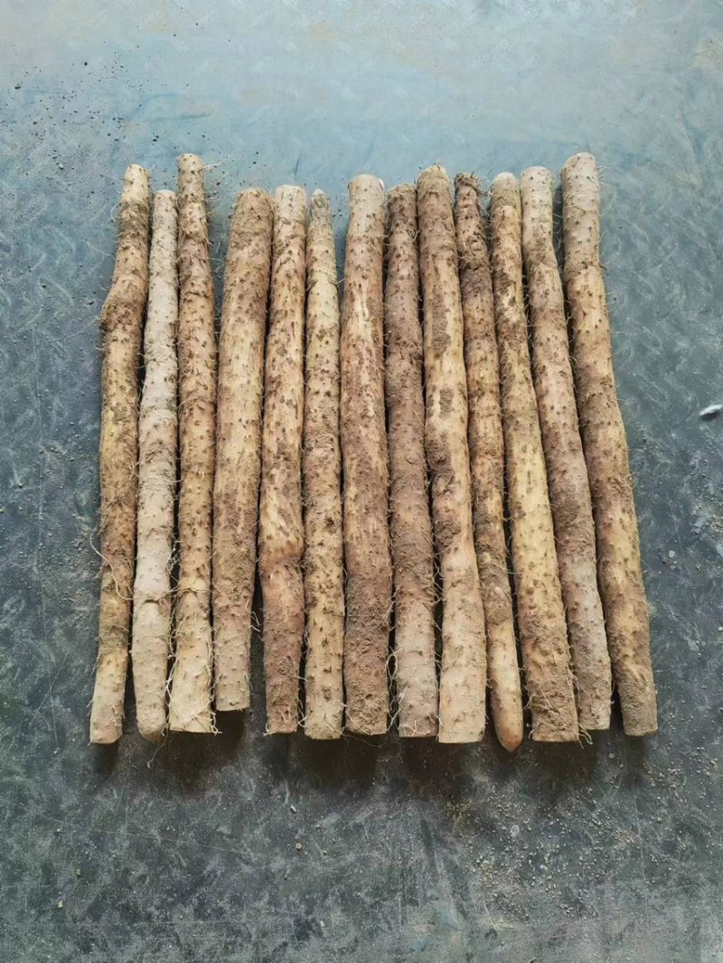 【精品】铁棍山药，品质好，条形好，量大从优！