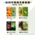 满都灵45%联肼乙螨唑杀螨剂柑橘树果树红蜘蛛螨虫农药