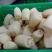 【推荐】湖北莲藕藕片对接商超市场电商社区团购量大价优