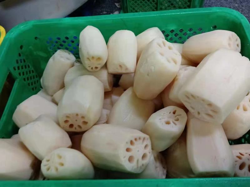 【推荐】湖北莲藕藕片对接商超市场电商社区团购量大价优