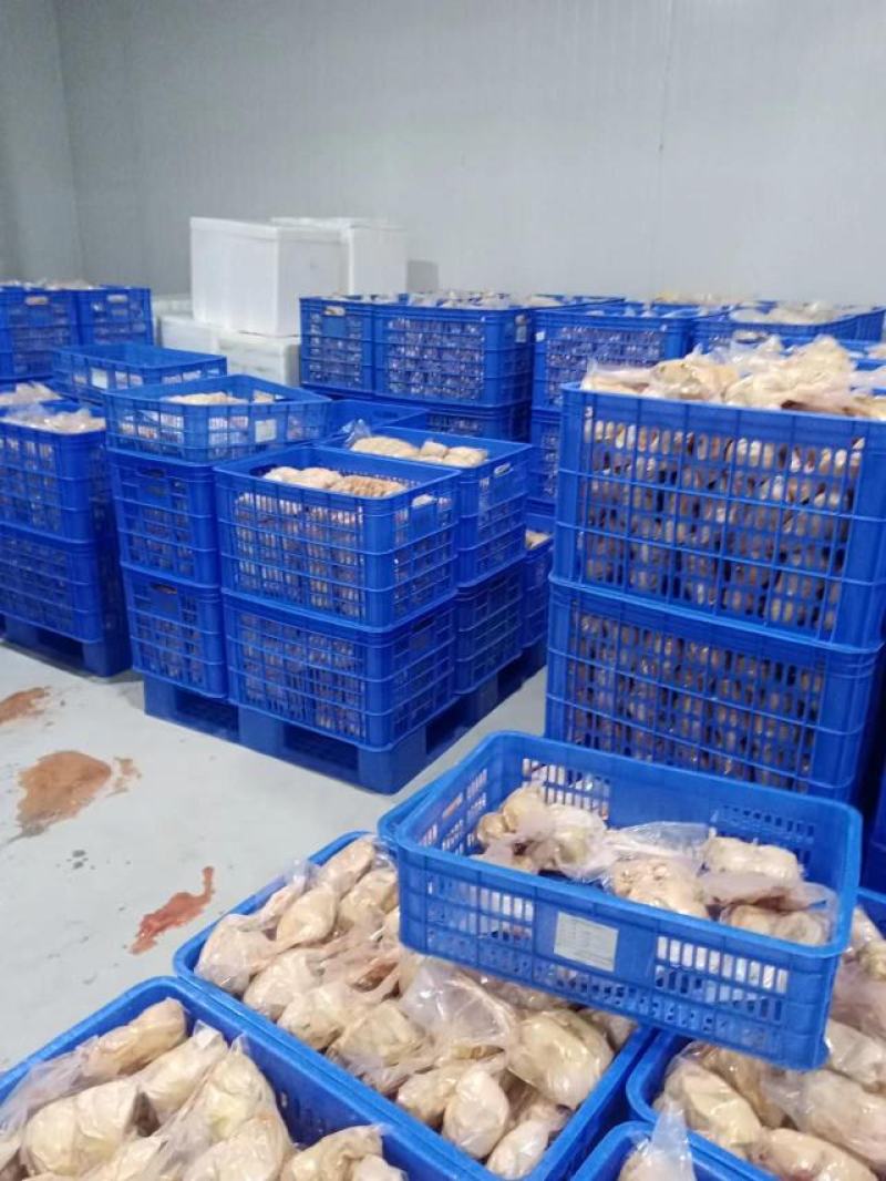 真空包装新鲜现杀鹧鸪呱呱鸡白条液氮速冻，冻品