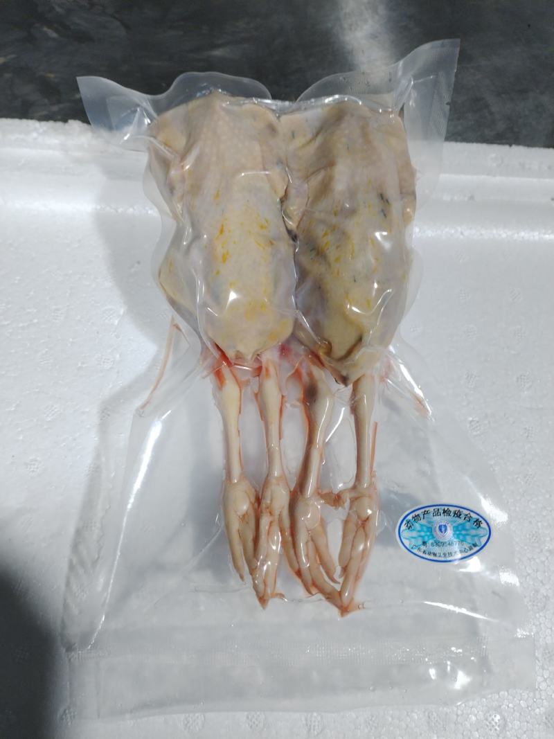 真空包装新鲜现杀鹧鸪呱呱鸡白条液氮速冻，冻品