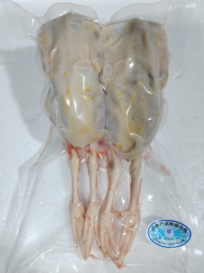 真空包装新鲜现杀鹧鸪呱呱鸡白条液氮速冻，冻品