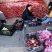辽宁红富士苹果基地直供,品质保证,全国代发
