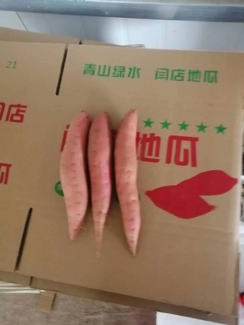 【红薯】辽宁精品烟薯基地直供，货源充足商超品质，视频看货