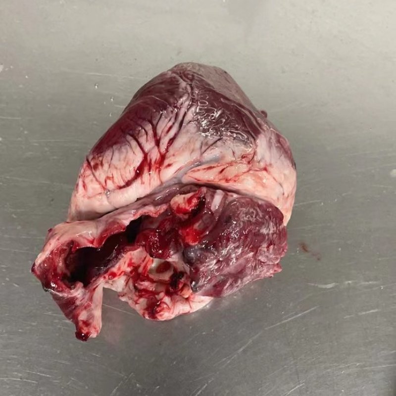 肥猪鲜猪心A级