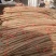 万亩精品红皮铁棍山药灵宝山药品质好,个大、大量现货
