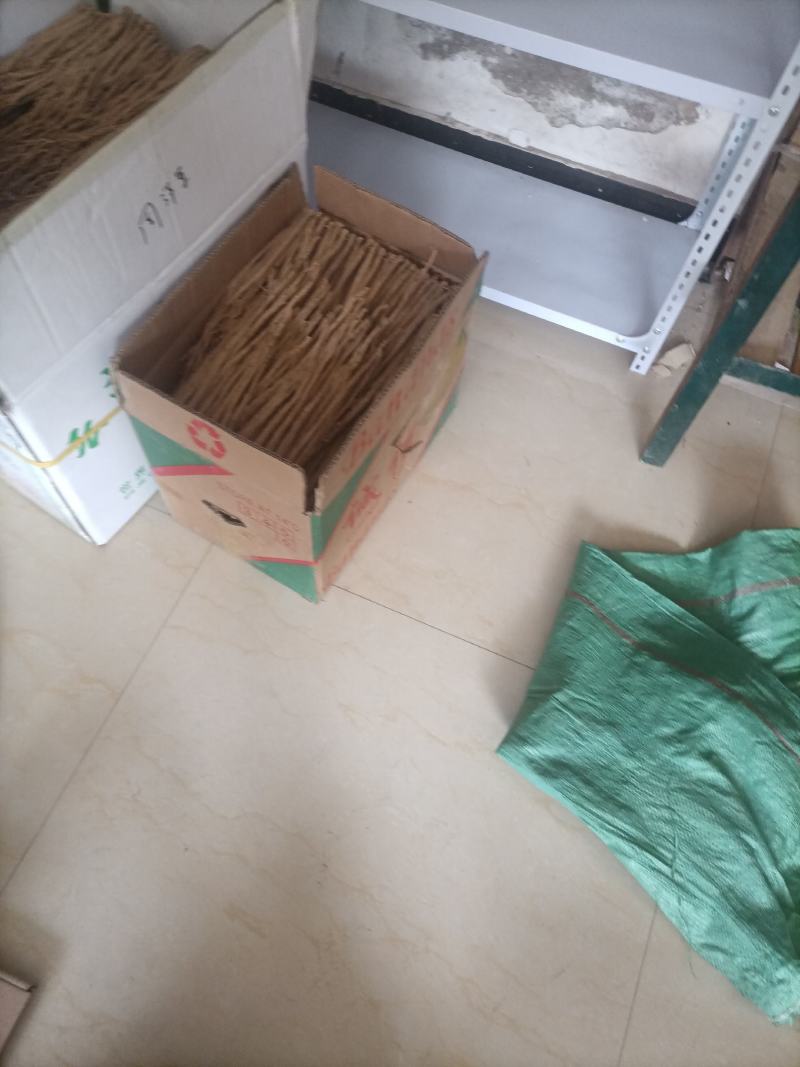 陇南正宗党参