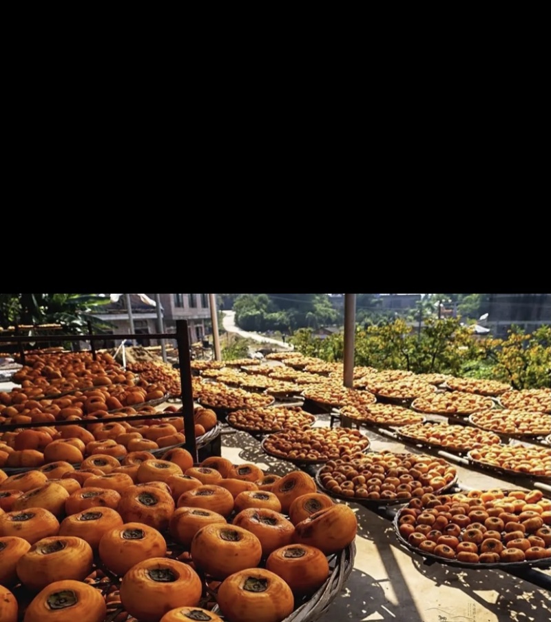 广西恭城柿饼