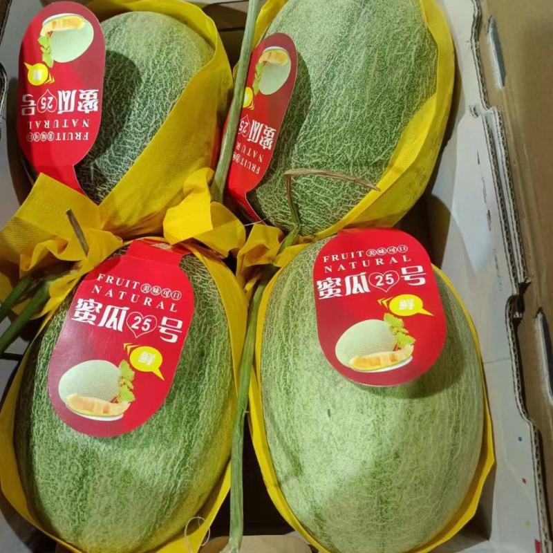 海南哈密瓜晓密25号对接市场电商社区团购大量供应
