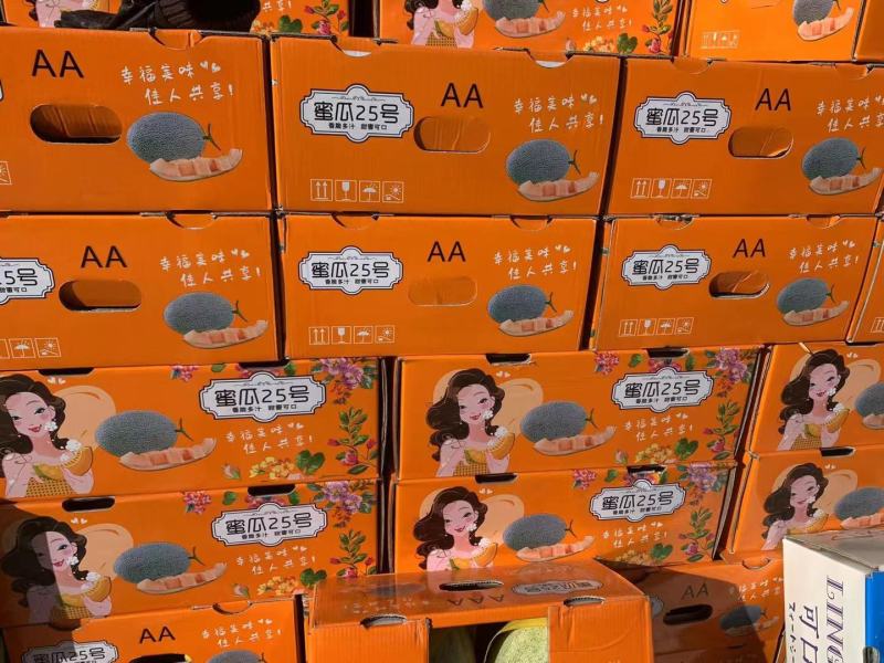 海南哈密瓜晓密25号对接市场电商社区团购大量供应