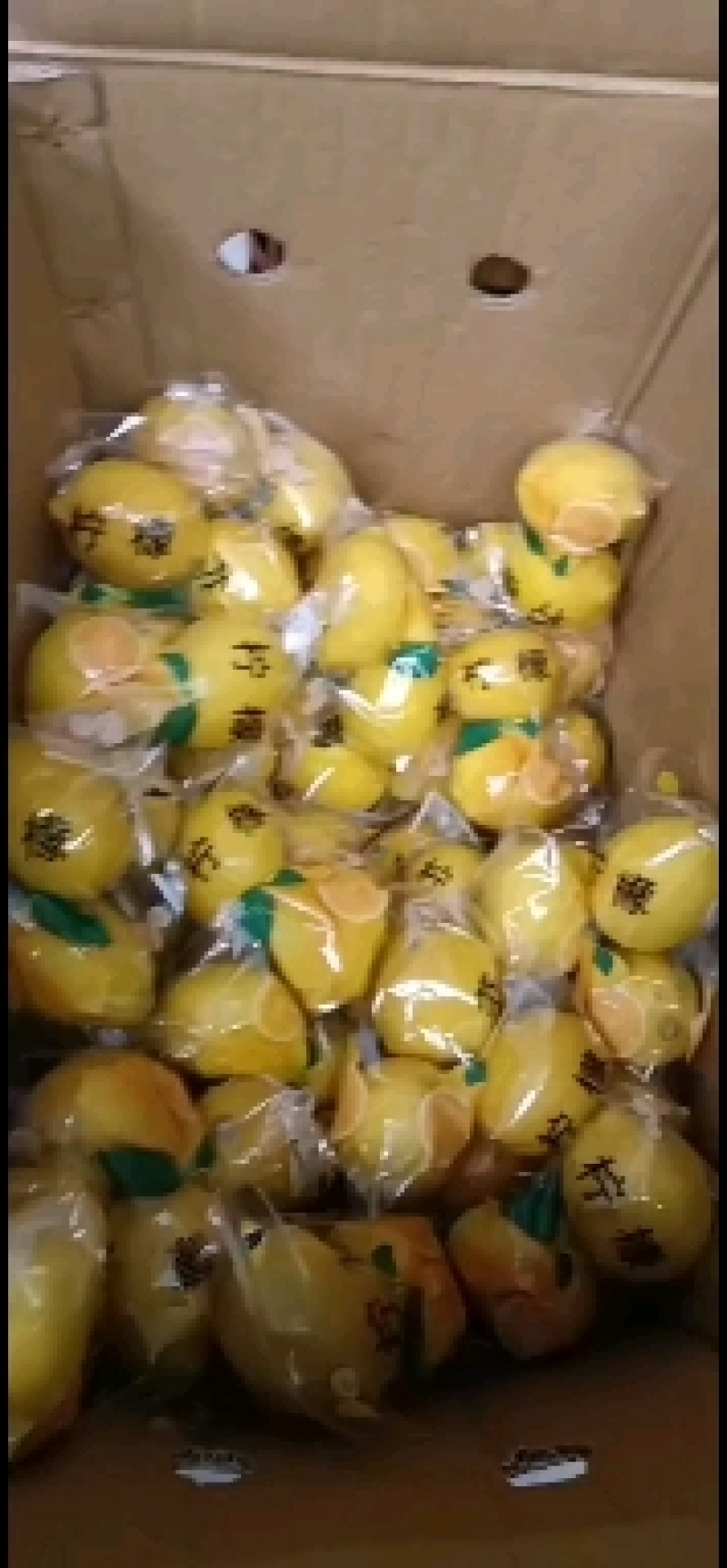 代办海南黄柠檬量大可商议改价可整车零担配送到物流专线