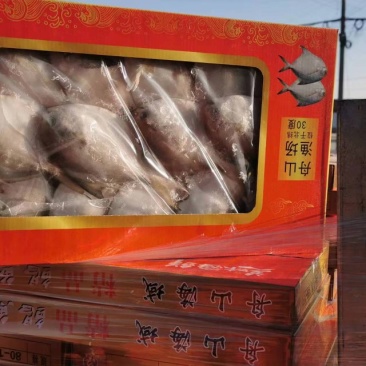 银鲳鱼礼盒