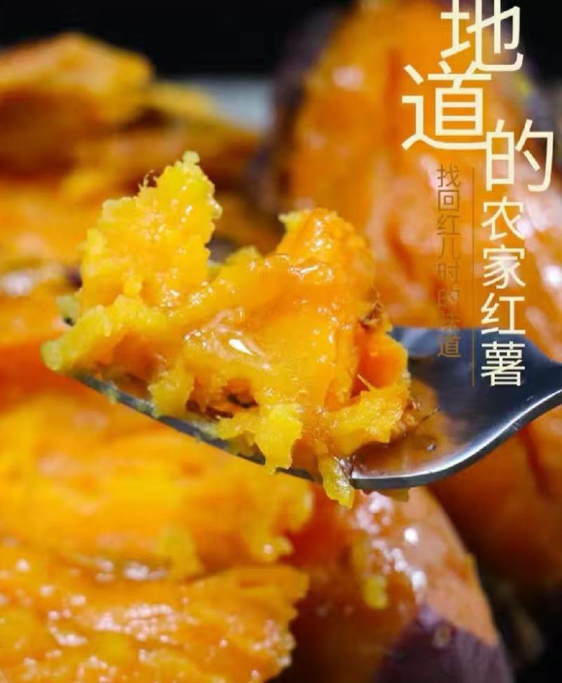 西瓜红蜜薯大量供应新鲜蜜薯糖心粉糯