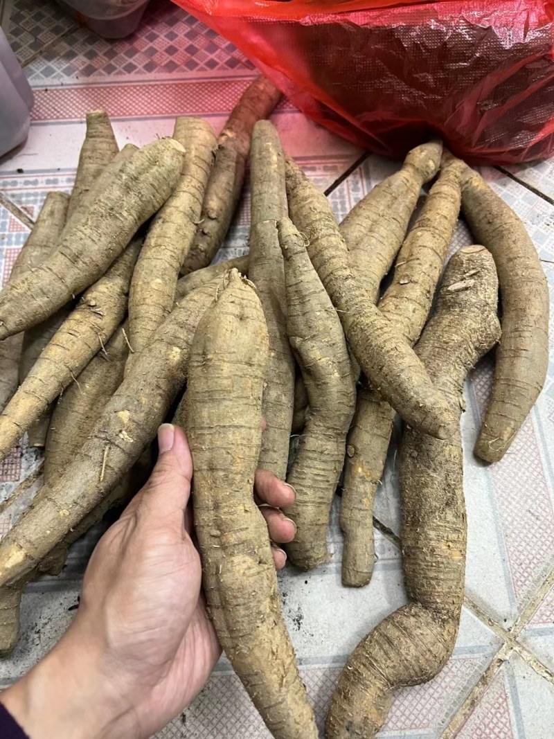 野生牛大力