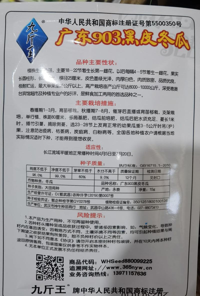 广东903黑皮冬瓜种子最大可达25公斤种植户农家蔬菜种子