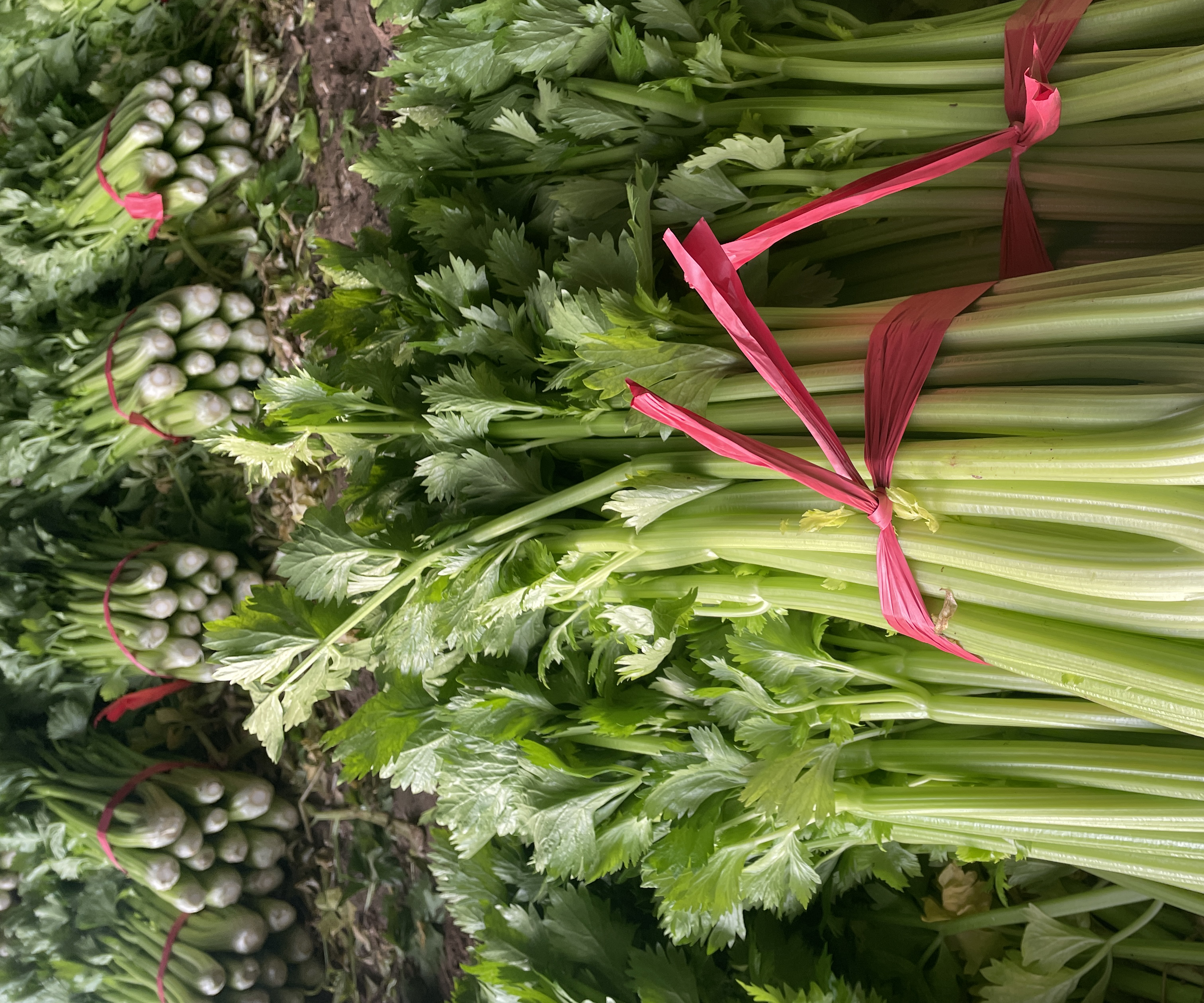 一名家庭主妇在厨房操作台上用刀将一把新鲜西芹切成薄片,旁边放置砧板、清水碗和柠檬片;西芹断面晶莹透亮,显示高含水量和细腻质地,体现嫩西芹的优质特征 家庭厨房处理西芹图