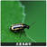 黄金甲啶虫脒杀虫剂大棚蔬菜黄条黄曲跳甲蚜虫作物农药