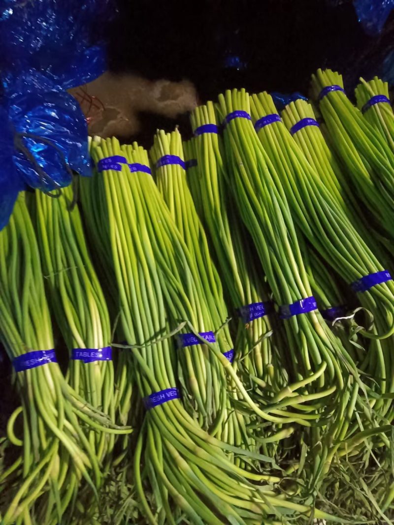 冷库批发精品白苔，红苔蒜苔，市场.超市.电商货，坏烂包赔