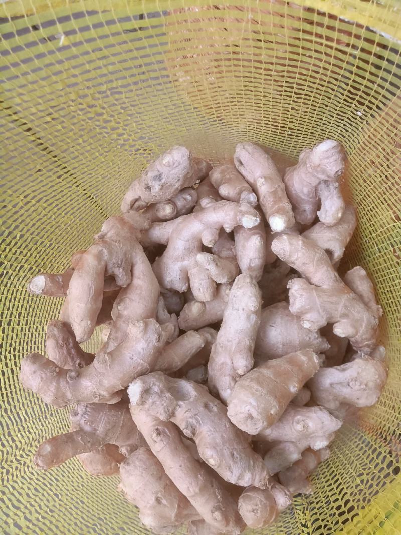泥姜，烘干姜，优质大姜也可以做市场货还可以做姜种用
